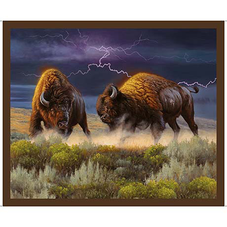 Wild Bison               